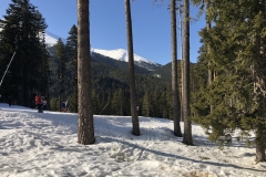 Skipiste bei Bansko (3)